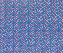 2565 BLUE BUBBLES